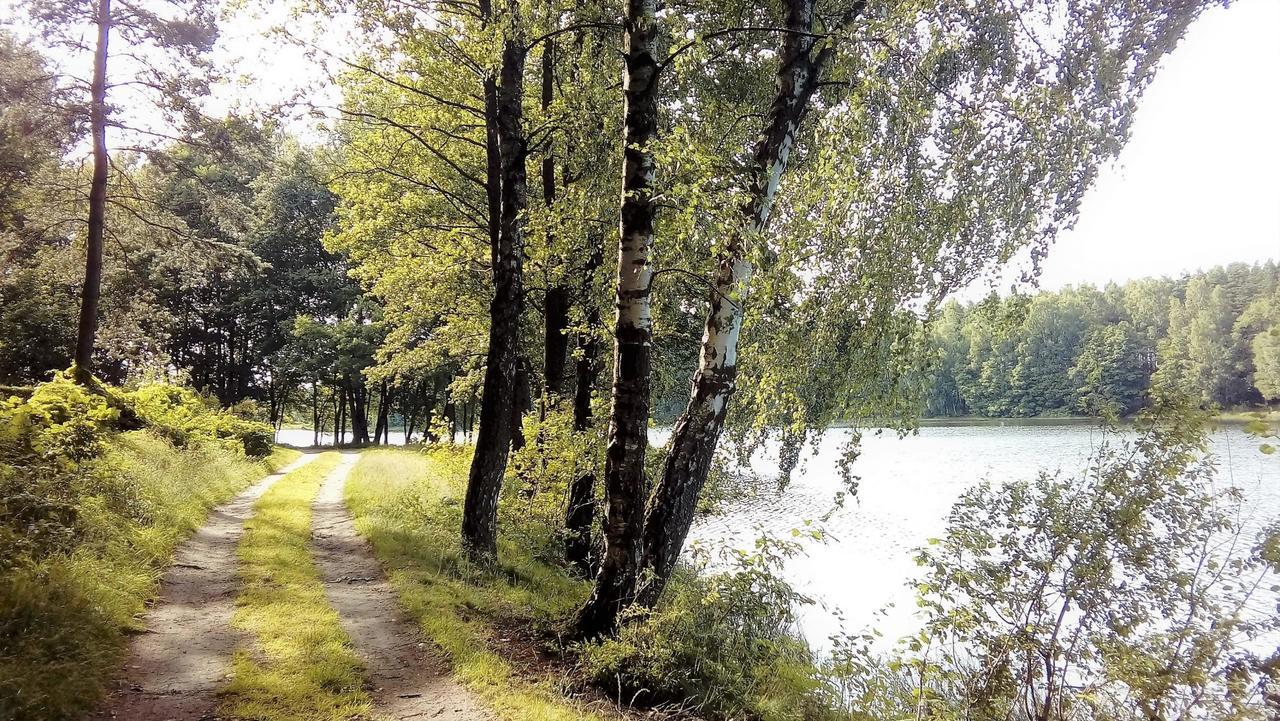 Hotel Milosz Restauracja, Basen Dla Dzieci, Sala Zabaw, Silownia Kartuzy Esterno foto